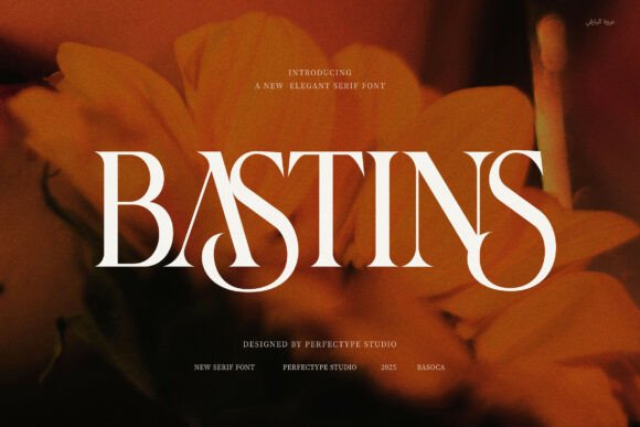 Bastins Serif Font for Modern Web Design