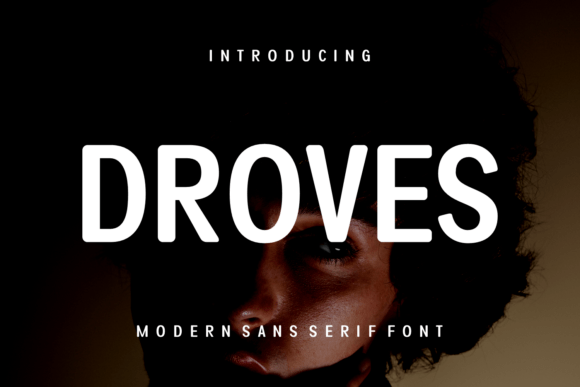 Droves Font Review for Modern Branding